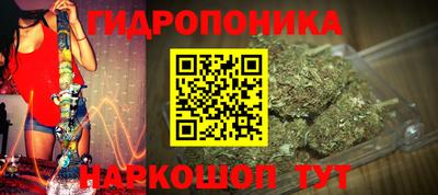 сатива Апшеронск