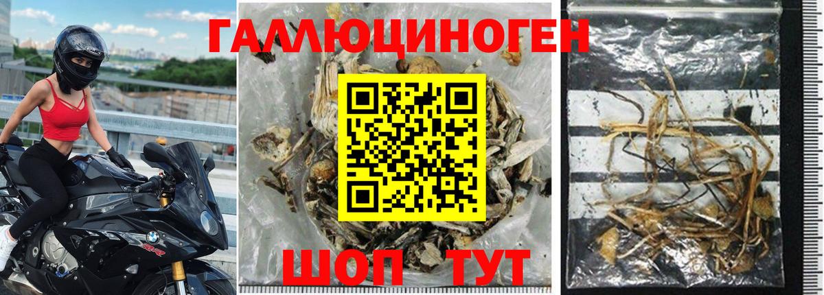 Галлюциногенные грибы Magic Shrooms  Вход с VPN  Волжск 